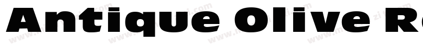 Antique Olive Regular字体转换